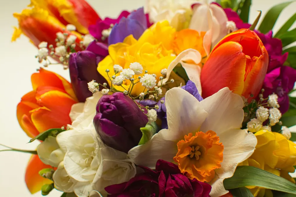 livraison de fleurs