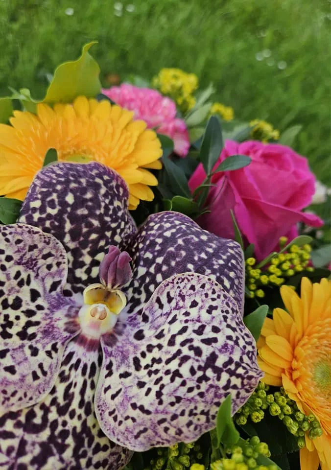 jardinerie