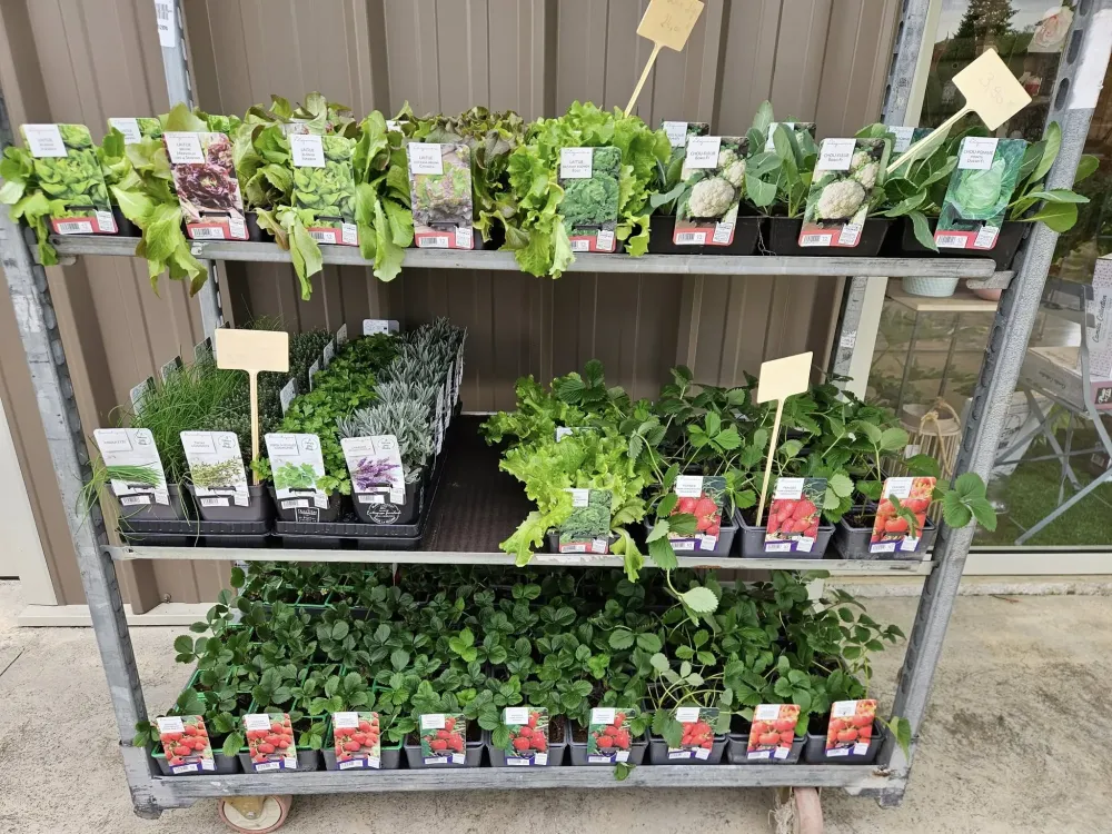 jardinerie